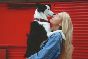 a dog with her owner