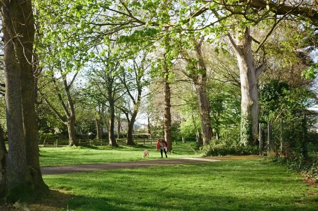 dog and owner are playing in the park