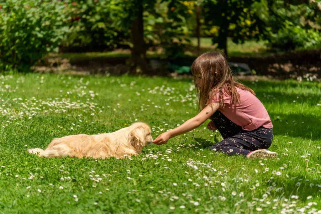 kid is playing with his pet dog